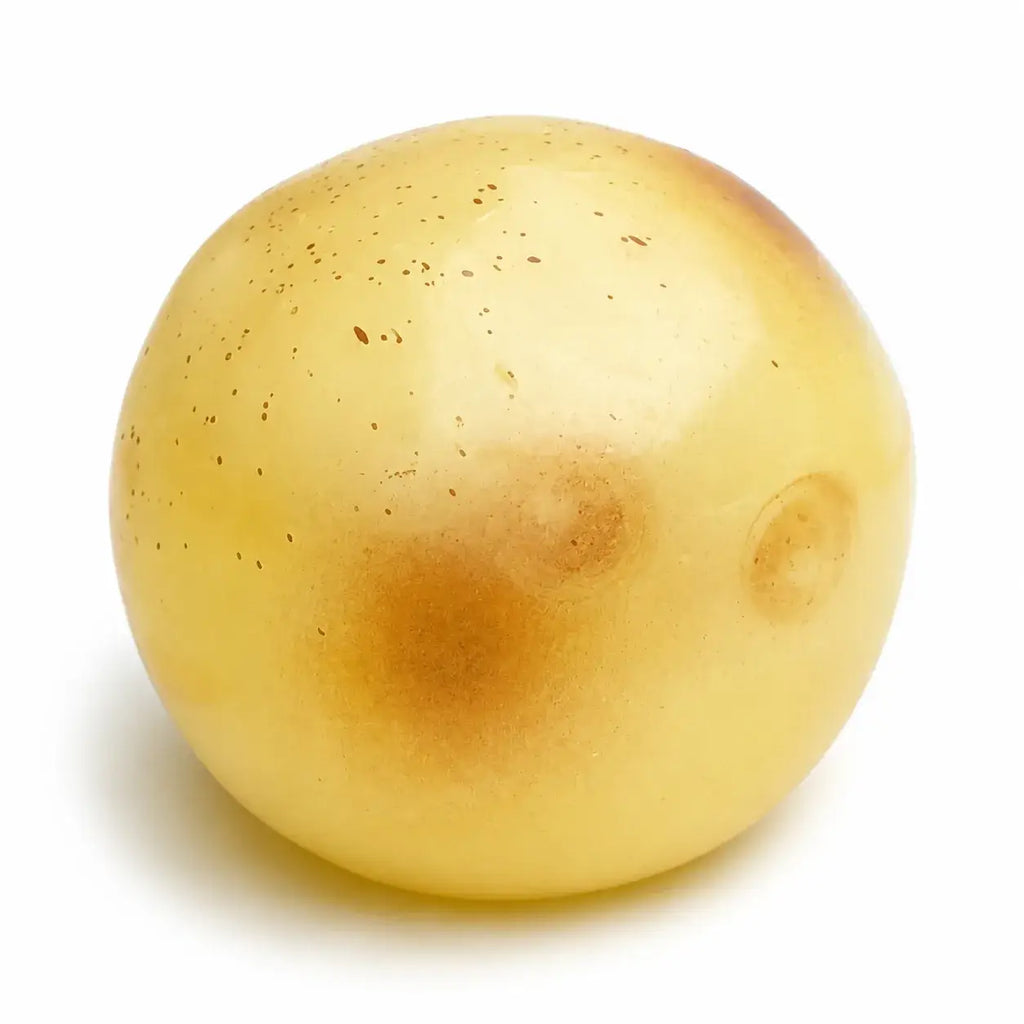 Coconut Oil Potato Squishy Stress Toy: 6CM