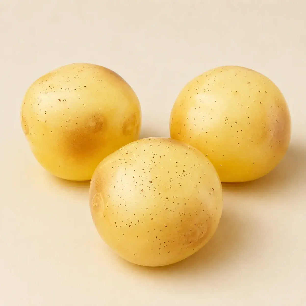 Coconut Oil Potato Squishy Stress Toy: 6CM
